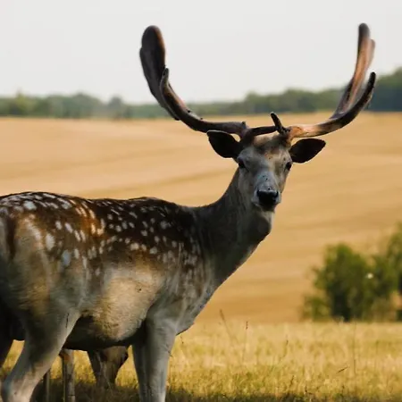 מלון Hotellerie De L'abbaye Du Desert *