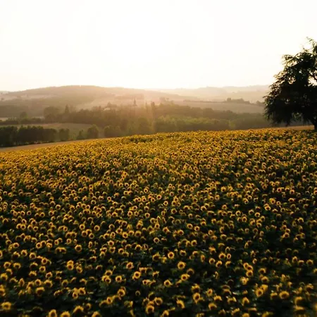 Hotel Hotellerie De L'abbaye Du Desert Bellegarde-Sainte-Marie